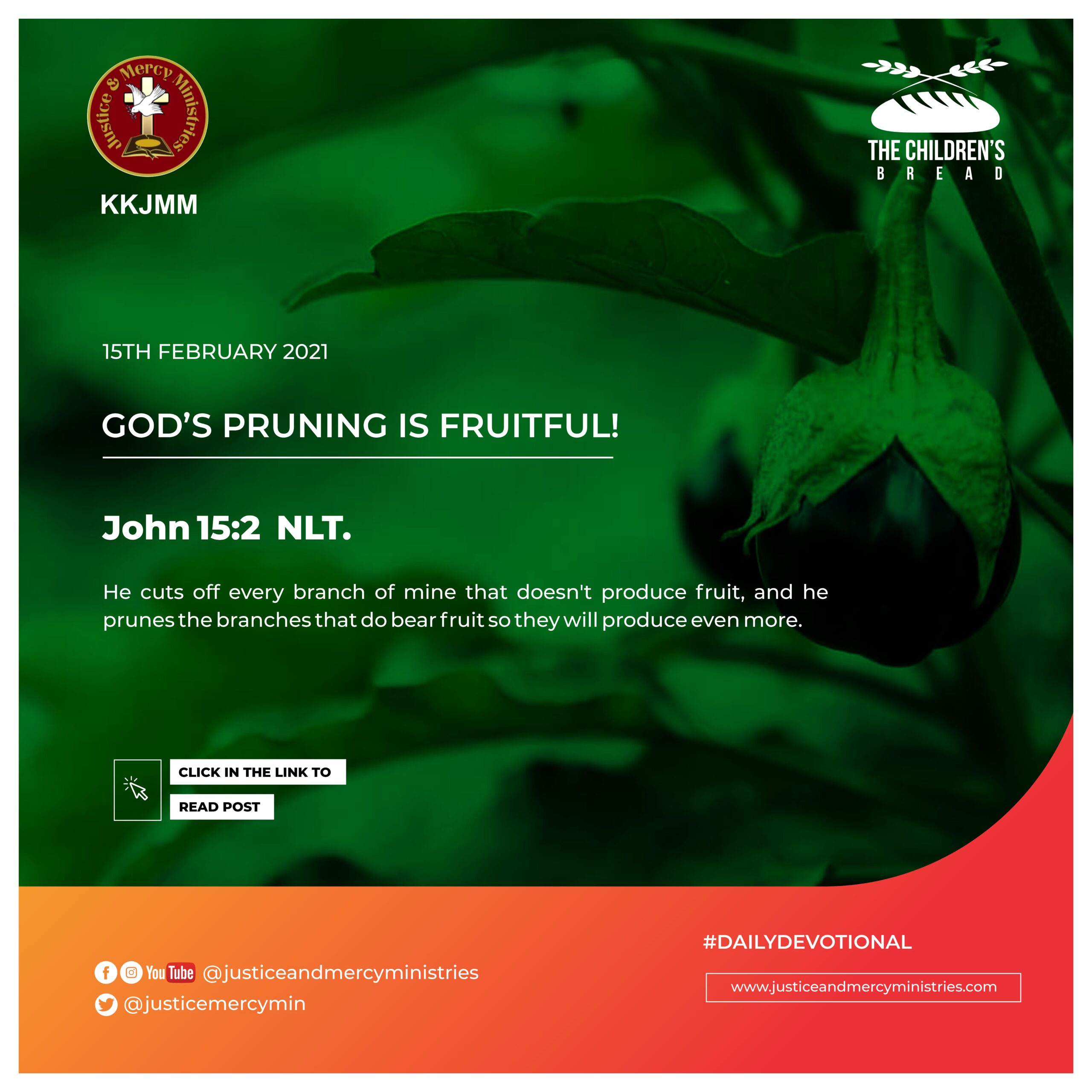 GOD’S PRUNING IS FRUITFUL!