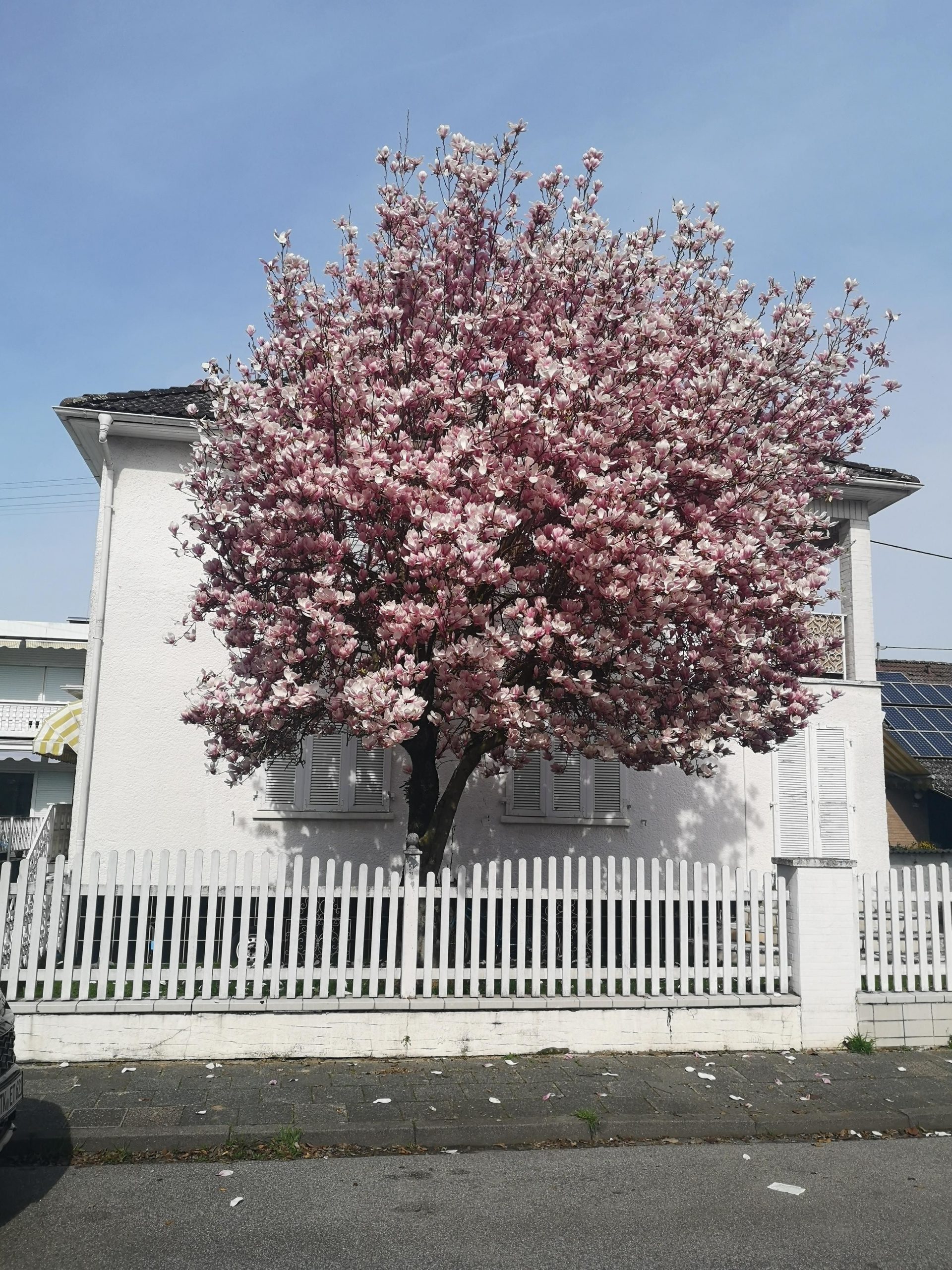 THANK GOD IT’S SPRING – AGAIN!